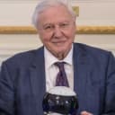 David Attenborough AI voice